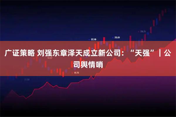 广证策略 刘强东章泽天成立新公司：“天强”｜公司舆情哨